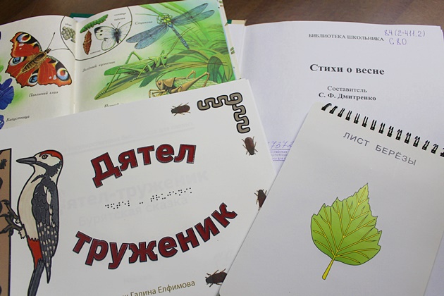 превью публикации Тактильная выставка «Времена года. Весна»