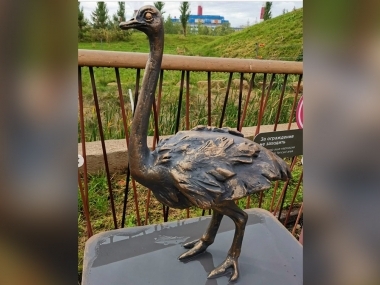 превью публикации Тактильные скульптуры животных появились в казанском зоопарке