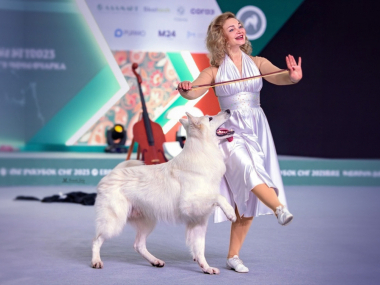 превью публикации Незрячих владельцев собак-проводников приглашают поучаствовать в танцевальном соревновании